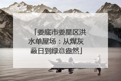 娄底市娄星区洪水单屋场：从煤灰蔽日到绿意盎然