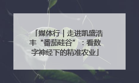 媒体行｜走进凯盛浩丰“番茄硅谷”：看数字神经下的精准农业