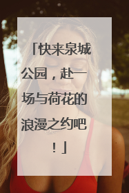 快来泉城公园，赴一场与荷花的浪漫之约吧！