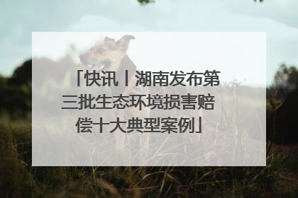 快讯丨湖南发布第三批生态环境损害赔偿十大典型案例