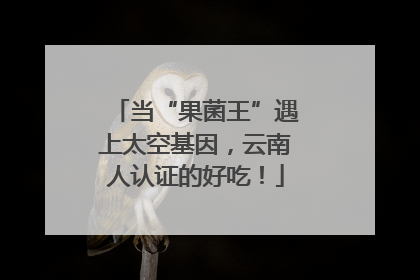当“果菌王”遇上太空基因，云南人认证的好吃！