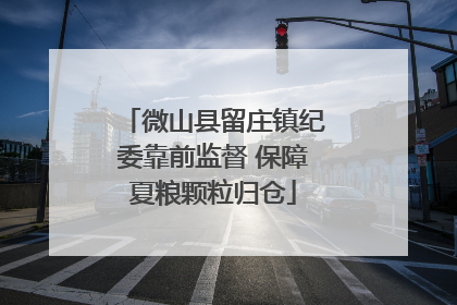 微山县留庄镇纪委靠前监督 保障夏粮颗粒归仓