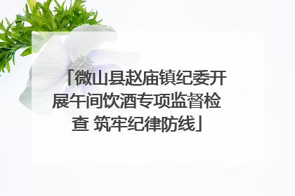 微山县赵庙镇纪委开展午间饮酒专项监督检查 筑牢纪律防线