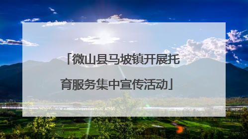 微山县马坡镇开展托育服务集中宣传活动