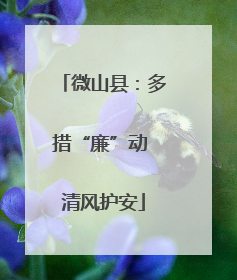 微山县：多措“廉”动 清风护安