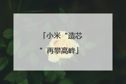 小米“造芯”再攀高峰