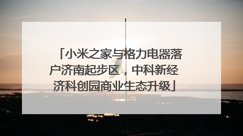 小米之家与格力电器落户济南起步区，中科新经济科创园商业生态升级