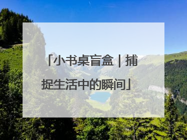 小书桌盲盒｜捕捉生活中的瞬间