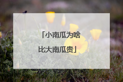 小南瓜为啥比大南瓜贵