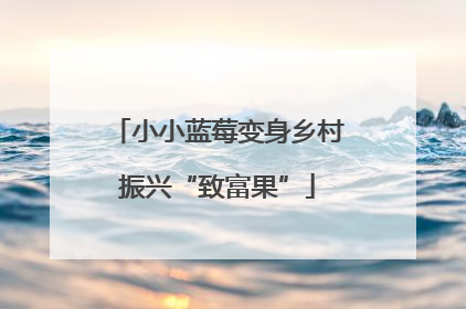 小小蓝莓变身乡村振兴“致富果”