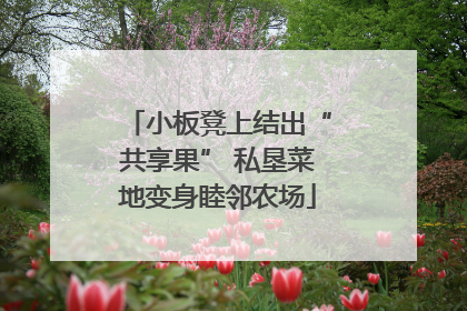 小板凳上结出“共享果” 私垦菜地变身睦邻农场
