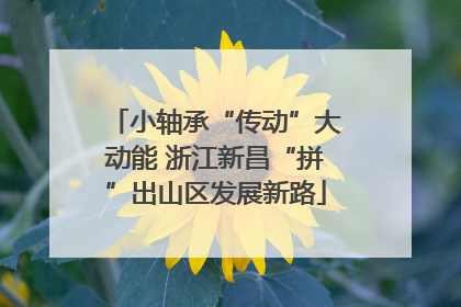 小轴承“传动”大动能 浙江新昌“拼”出山区发展新路