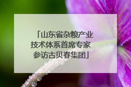 山东省杂粮产业技术体系首席专家参访古贝春集团