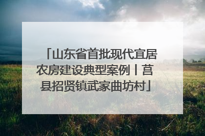 山东省首批现代宜居农房建设典型案例丨莒县招贤镇武家曲坊村