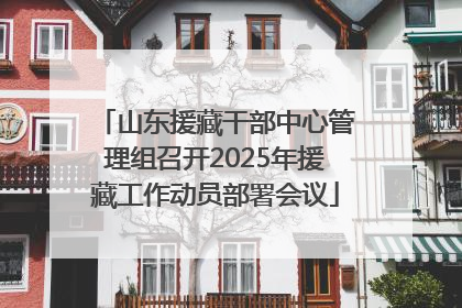 山东援藏干部中心管理组召开2025年援藏工作动员部署会议