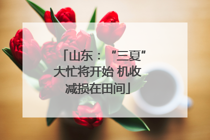 山东：“三夏”大忙将开始 机收减损在田间
