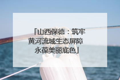 山西保德：筑牢黄河流域生态屏障 永葆美丽底色