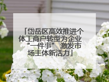 岱岳区高效推进个体工商户转型为企业“一件事” 激发市场主体新活力