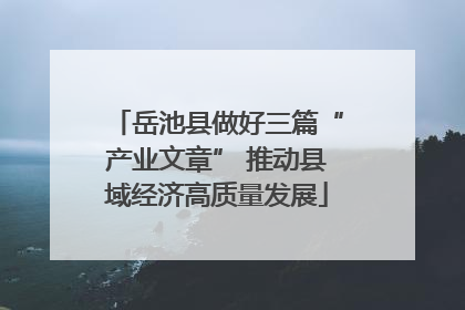 岳池县做好三篇“产业文章” 推动县域经济高质量发展