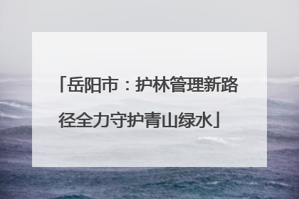 岳阳市：护林管理新路径全力守护青山绿水