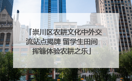 崇川区农耕文化中外交流站点揭牌 留学生田间挥镰体验农耕之乐