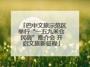 巴中文旅示范区举行“一五九米仓民宿”推介会 开启文旅新征程