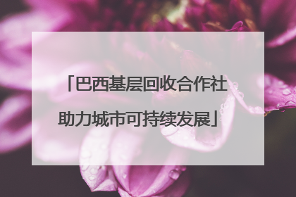 巴西基层回收合作社助力城市可持续发展