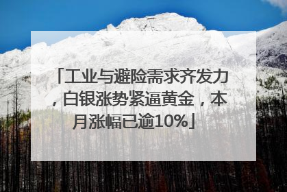 工业与避险需求齐发力，白银涨势紧逼黄金，本月涨幅已逾10%