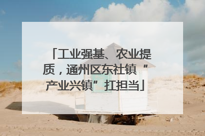 工业强基、农业提质，通州区东社镇“产业兴镇”扛担当