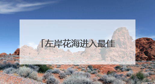 左岸花海进入最佳观赏期 邀市民共赏夏日繁花盛景