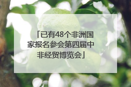 已有48个非洲国家报名参会第四届中非经贸博览会