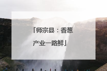 师宗县：香葱产业一路鲜