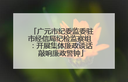 广元市纪委监委驻市经信局纪检监察组：开展集体廉政谈话 敲响廉政警钟