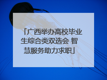 广西举办高校毕业生综合类双选会 智慧服务助力求职