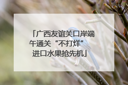 广西友谊关口岸端午通关“不打烊” 进口水果抢先机
