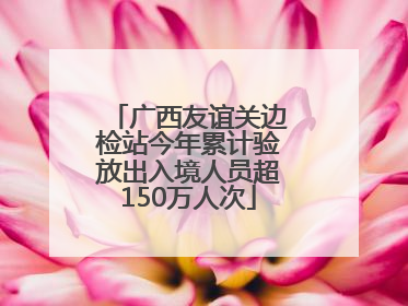 广西友谊关边检站今年累计验放出入境人员超150万人次