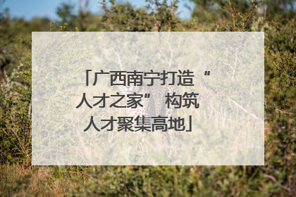 广西南宁打造“人才之家” 构筑人才聚集高地
