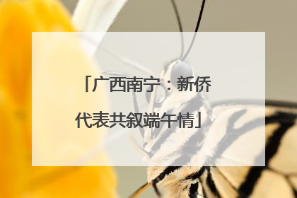 广西南宁：新侨代表共叙端午情