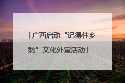 广西启动“记得住乡愁”文化外宣活动