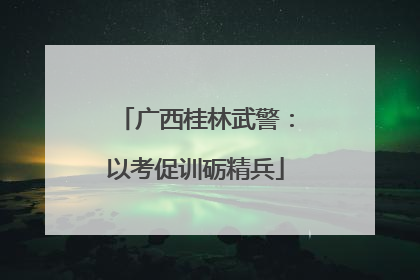 广西桂林武警：以考促训砺精兵