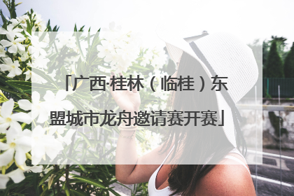 广西·桂林（临桂）东盟城市龙舟邀请赛开赛