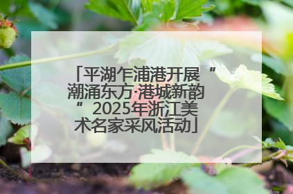 平湖乍浦港开展“潮涌东方·港城新韵”2025年浙江美术名家采风活动