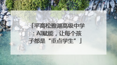 平高松雅湖高级中学：AI赋能，让每个孩子都是“重点学生”