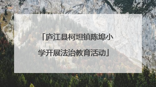 庐江县柯坦镇陈埠小学开展法治教育活动