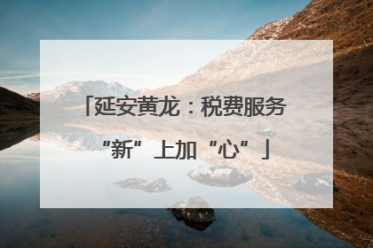 延安黄龙：税费服务“新”上加“心”