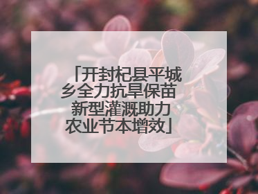 开封杞县平城乡全力抗旱保苗 新型灌溉助力农业节本增效