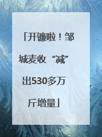 开镰啦！邹城麦收“减”出530多万斤增量