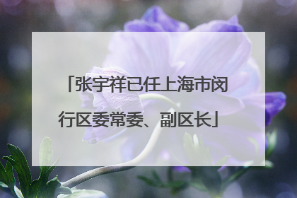 张宇祥已任上海市闵行区委常委、副区长