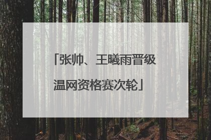 张帅、王曦雨晋级温网资格赛次轮