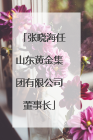 张晓海任山东黄金集团有限公司董事长